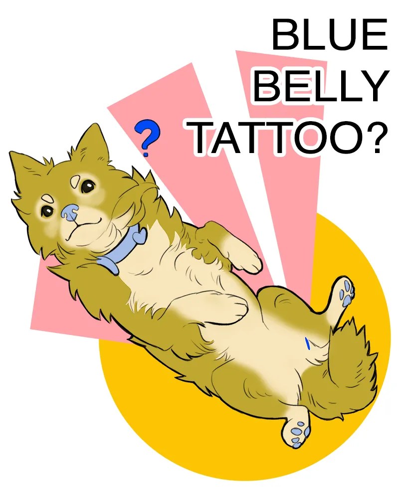 Why Does My Dog Have a Blue Mark on Their Lower&nbsp;Belly?