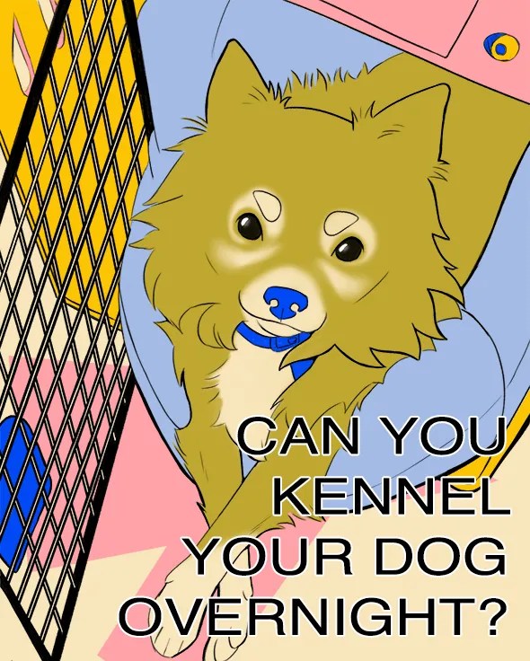 Can You Kennel Your Dog&nbsp;Overnight?