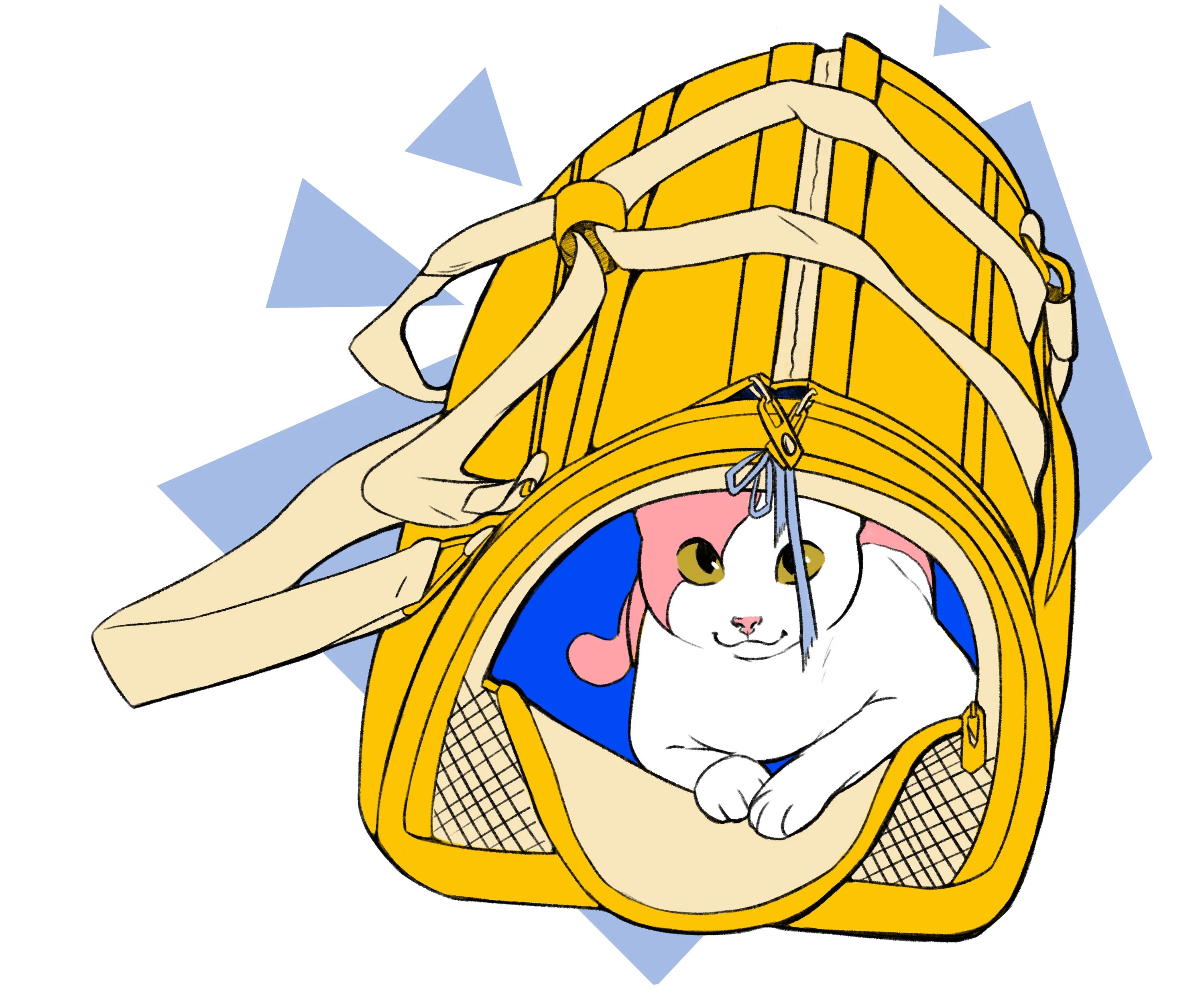 Pointers for Stress-free Vet Visits with Your&nbsp;Cat