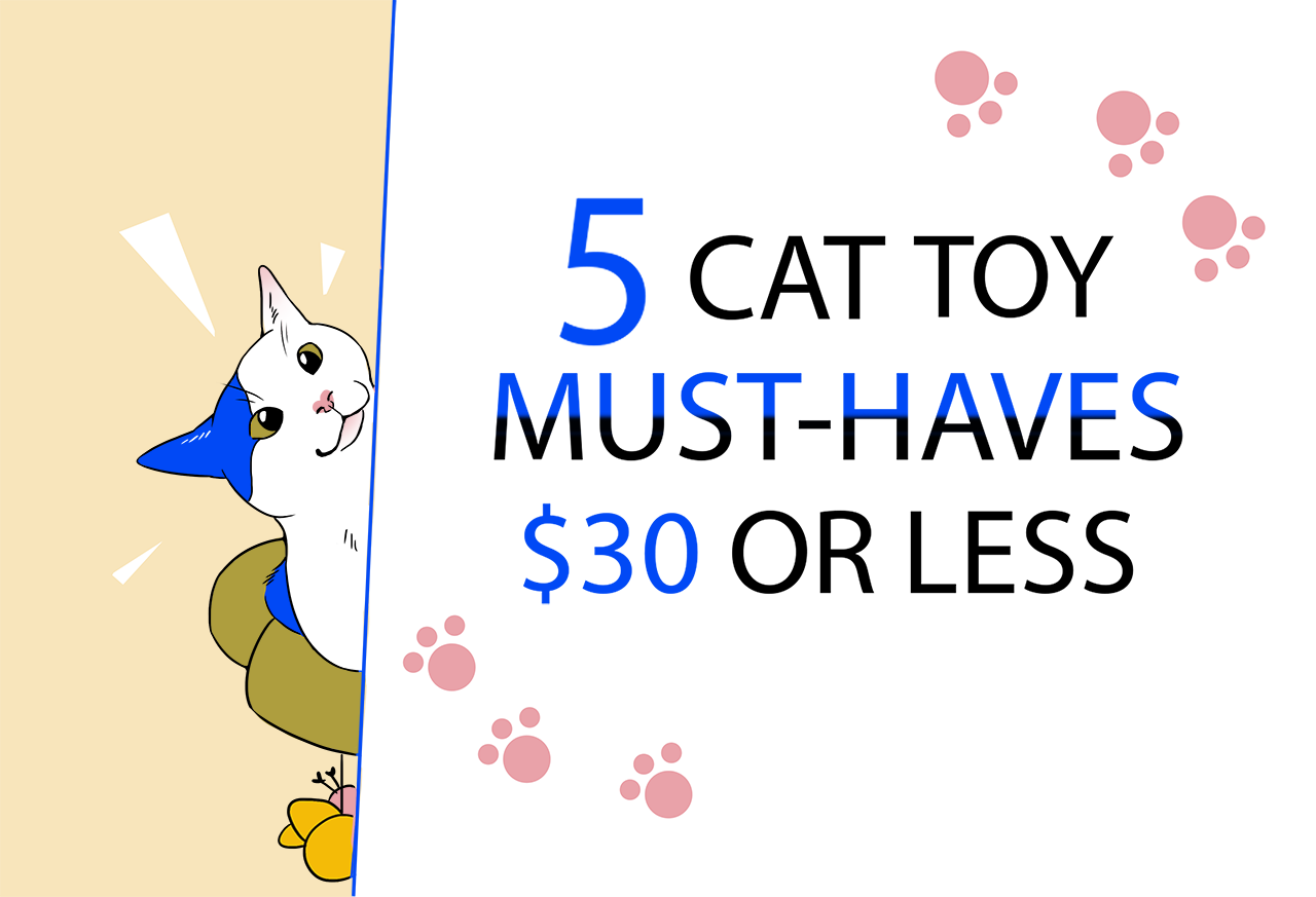 5 Cat Toy Must-Haves That Cost $30 or&nbsp;Less