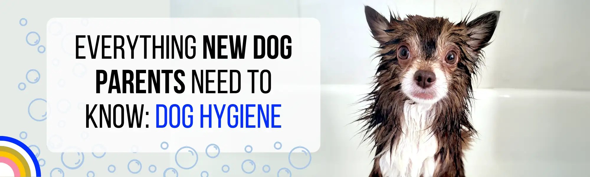 Everything New Dog Parents Need to Know: Dog&nbsp;Hygiene